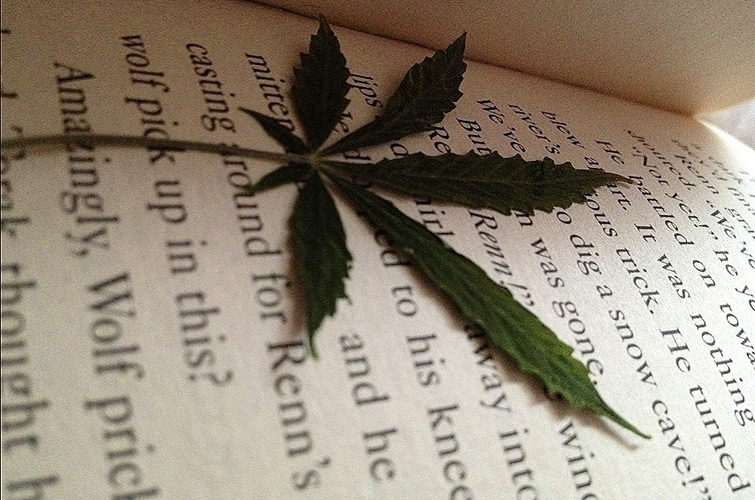 Cannabis Glossary