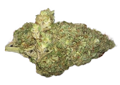 Auto Acid Weed Strain