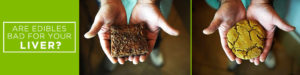 are edibles bad for your liver
