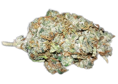 Blueberry Kush Weed Strain