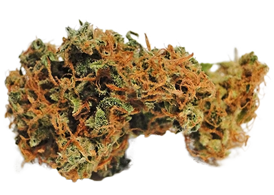 Brainstorm Haze Cannabis Strain