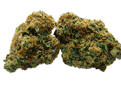 CBD Mango Haze Strain