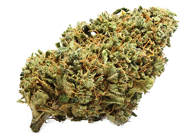 Cannatonic Strain
