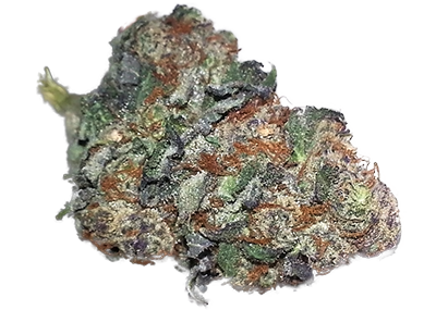 Exodus Cheese Weed Strain