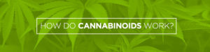 how do cannabinoids work