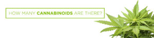 how many cannabinoids are there