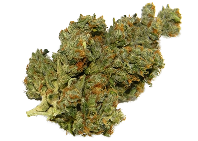 Sour Diesel Cannabis Strain