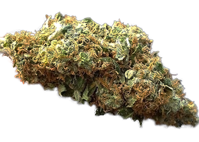 Super Lemon Haze Marijuana Strain