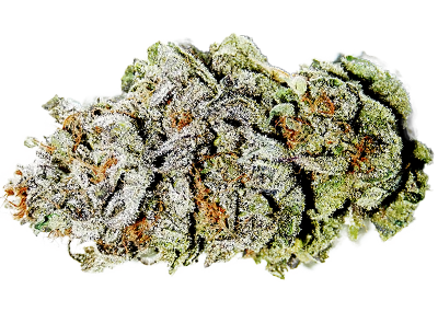 Super Silver Haze Marijuana Strain