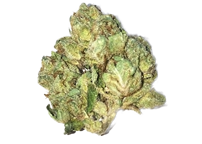 Tahoe OG Kush Weed Strain