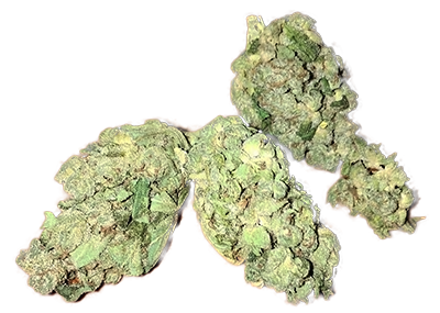 White Widow Marijuana Strain