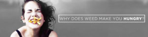 Why Does Weed Make You Hungry