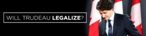 Will Trudeau Legalize Weed