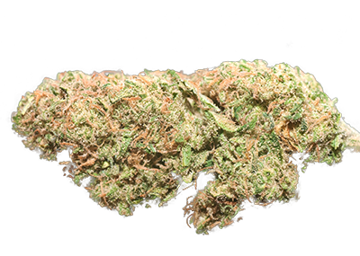 Afghan Kush Weed Strain