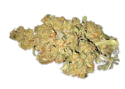 Kush Strain CBD