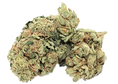 Chemdawg Weed Strain
