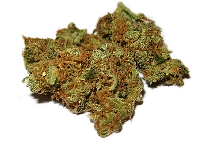 Durga Mata Marijuana Strain