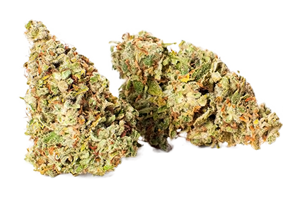 Jean Guy Cannabis Strain
