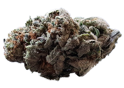 Nebula Marijuana Strain