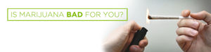 is marijuana bad for you
