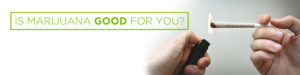 is marijuana good for you