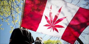 Canadian Weed Flag