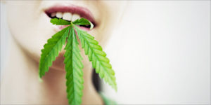 Cannabis Leaf