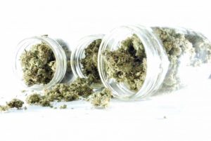 Marijuana Jars