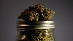 Pot Jar