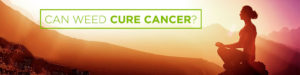 can weed cure cancer