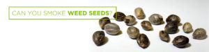 can you smoke weed seeds