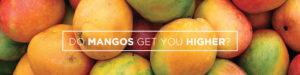 do mangos get you higher