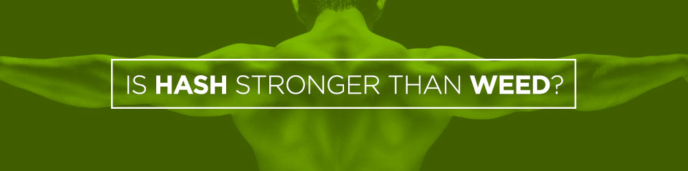 is hash stronger than weed