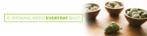 is smoking weed everyday bad