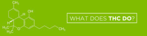 what does thc do