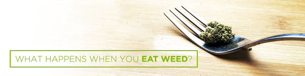 what happens when you eat weed