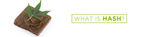 what is hash