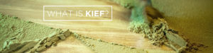 what is kief