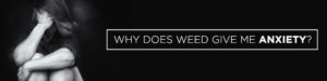 Why Does Weed Give Me Anxiety