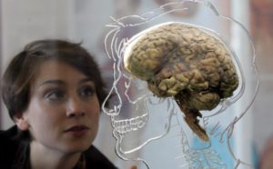 Weed and Brain Development