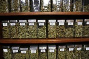 medical marijuana
