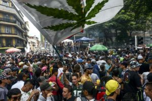 global marijuana march